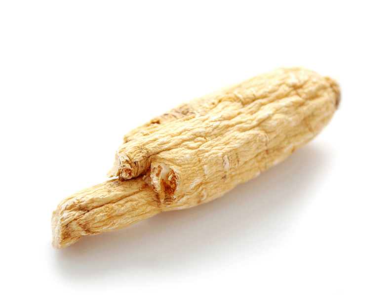 Raiz de Aralia para potência