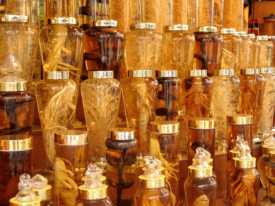 raiz de ginseng para aumentar a potência